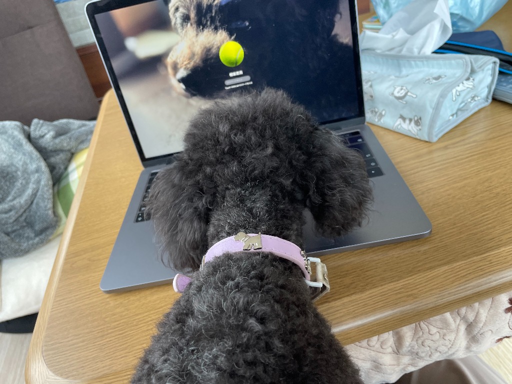 出張整体in雄武町　での気づき